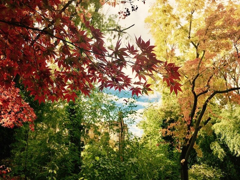 CatchBudapest-Autumn-Parks