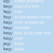 Hungarian words with "GY"