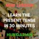 Hungarian Present Tense