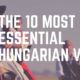 Most Important Hungarian Verbs
