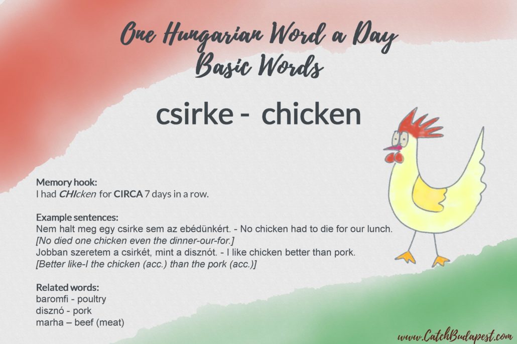 csirke