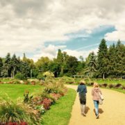 margaret island-budapest-rose garden