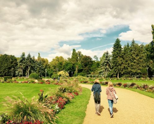 margaret island-budapest-rose garden