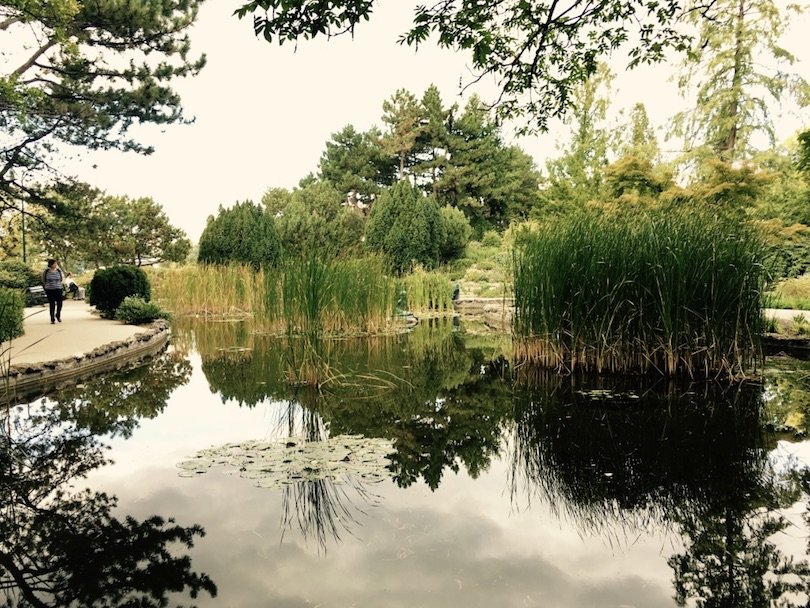 margaret island-budapest-japanese garden