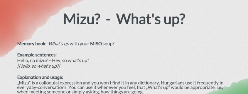 mizu-whats-up